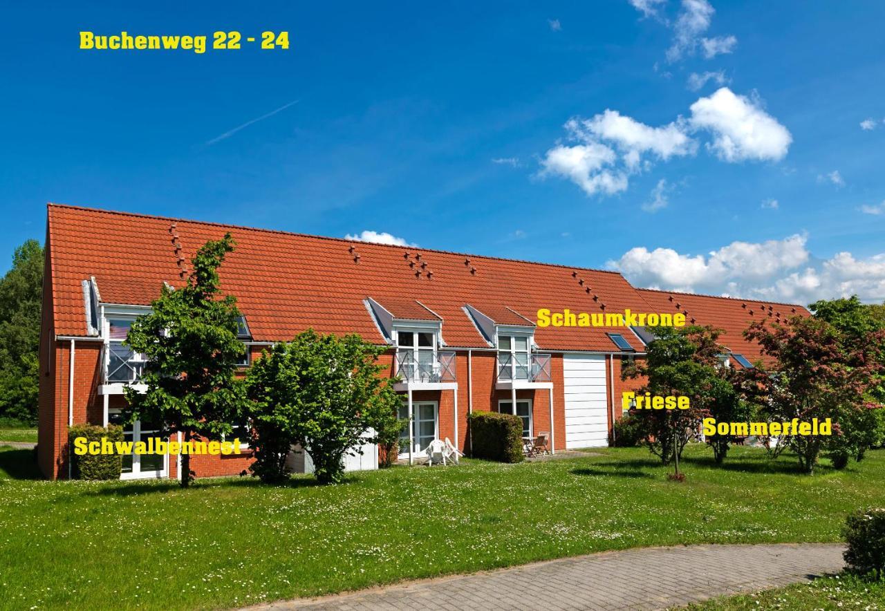 Buchenweg Whg.24, Friese, Eg Re Apartment Insel Poel Exterior photo